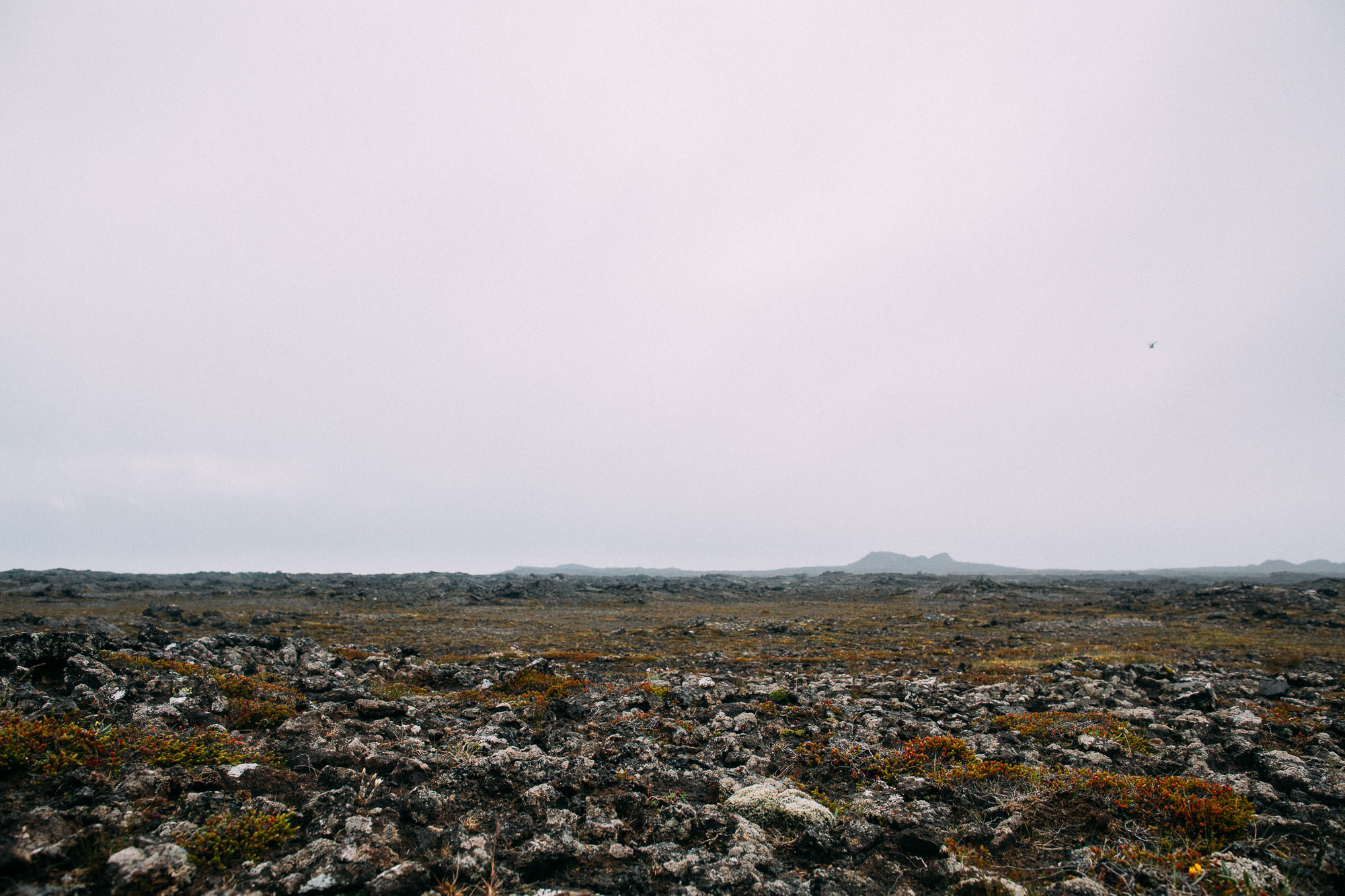 Export x3 5D4 8795 Gaby & German @ Reykanesviti 3